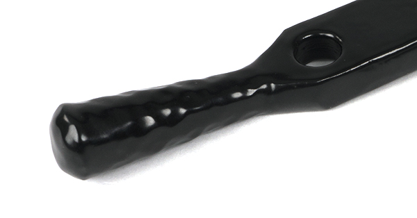 ANV46475 2