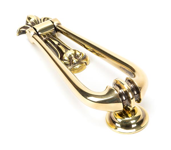 ANV49550 2