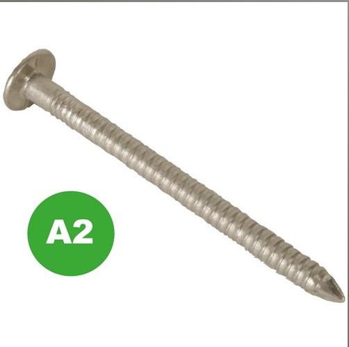 TIMSSAR50B 2